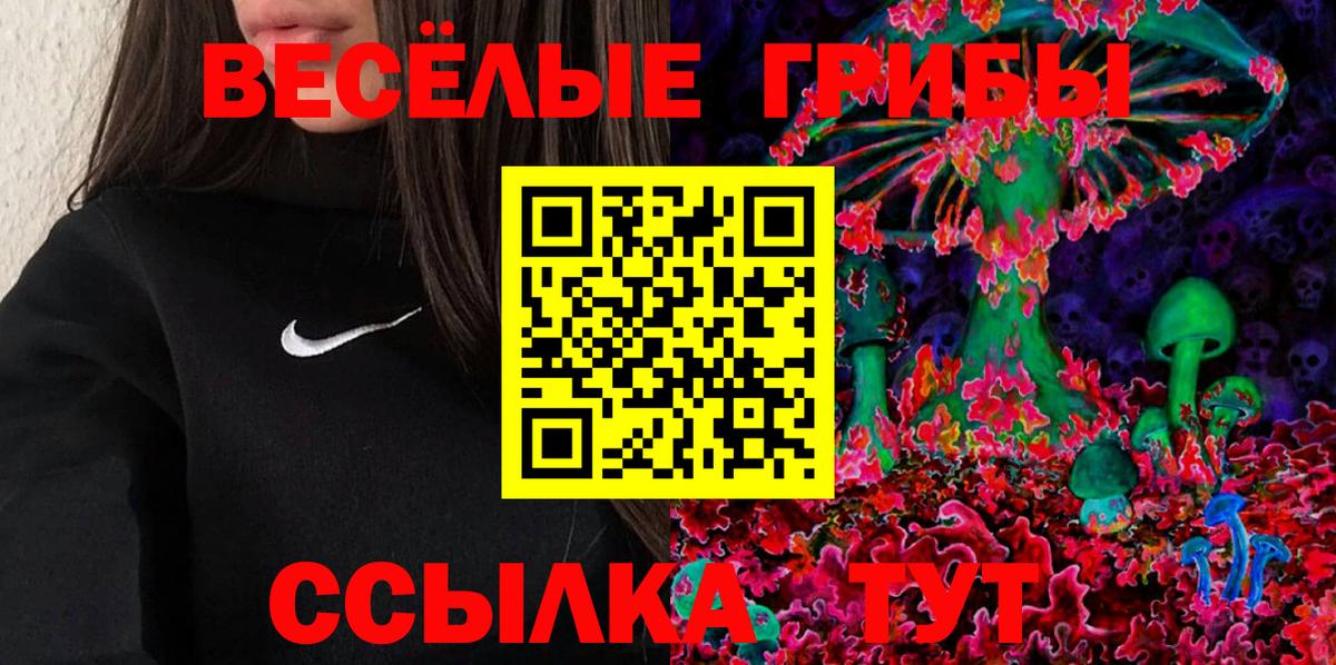 где продают наркотики  Псилоцибиновые грибы Cubensis  Вход с VPN  Старая Купавна 